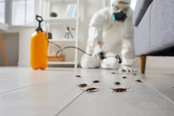 Affordable Cockroach Control solutions in Cheval, FL
